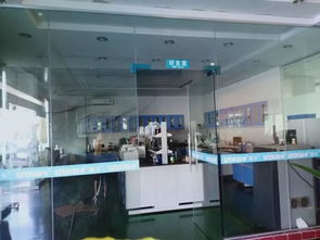 东莞联沃走访随想 针织品的匠心与创新